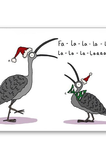 Ha - de - da - Gawjus.CapeTown